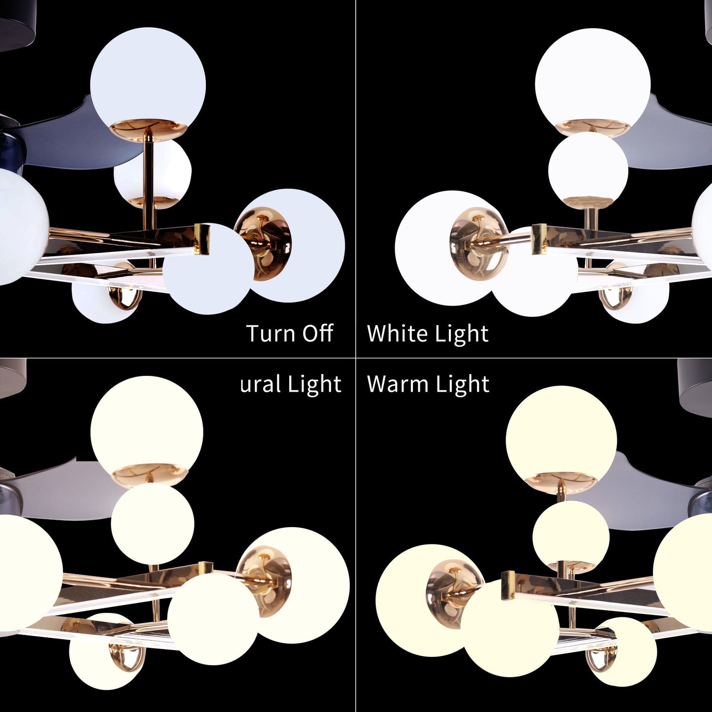 Lightsin Modern Sphere 3-Blade Ceiling Fan with Light Black & Gold Finish Lightsin UK