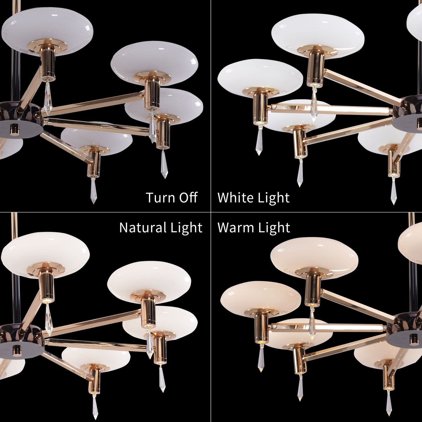 Lightsin Modern Gold LED Chandelier with Glass Shades Lightsin UK