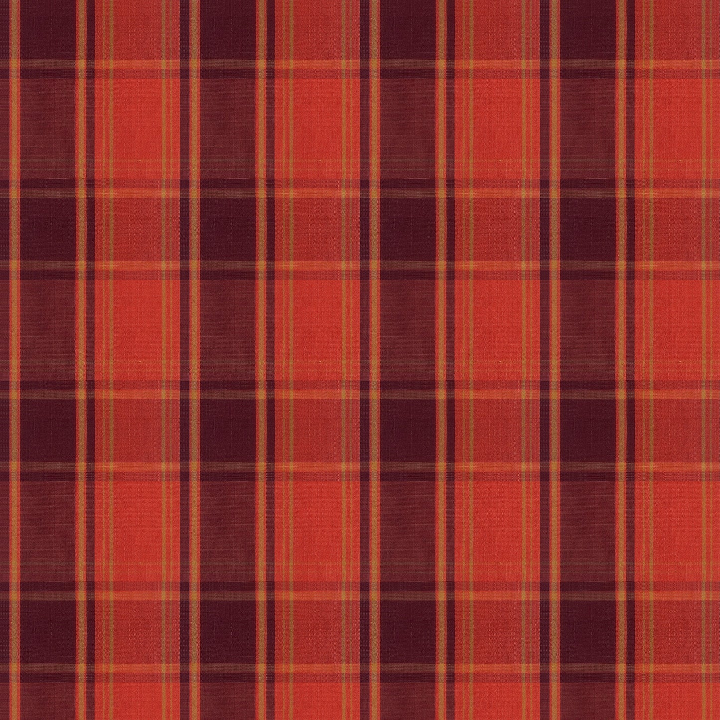 #Colour_Autumn Spice