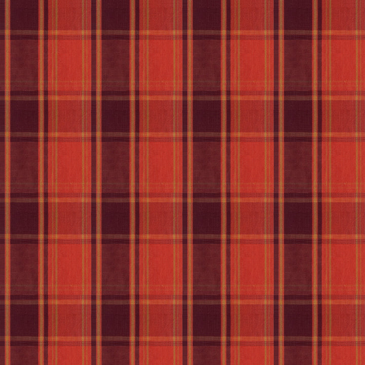 #Colour_Autumn Spice