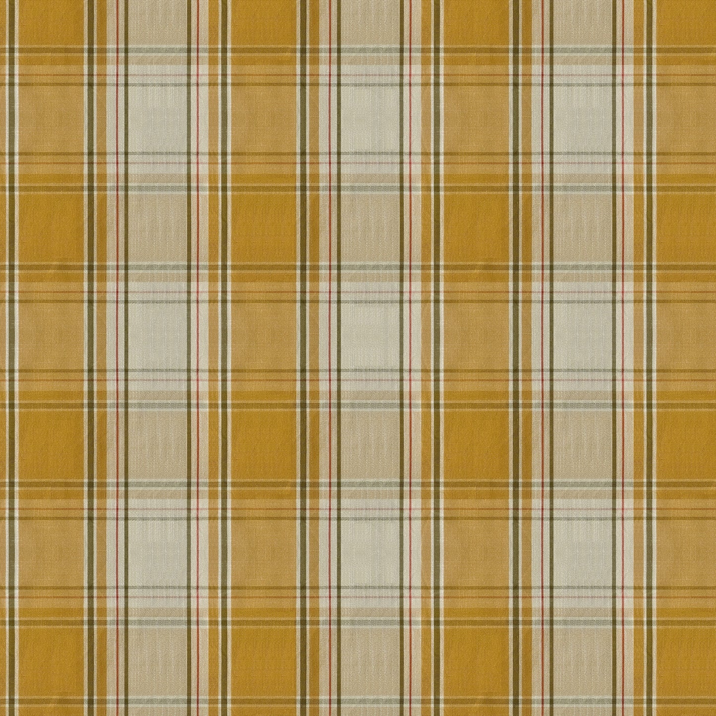 #Colour_ Saffron Gold