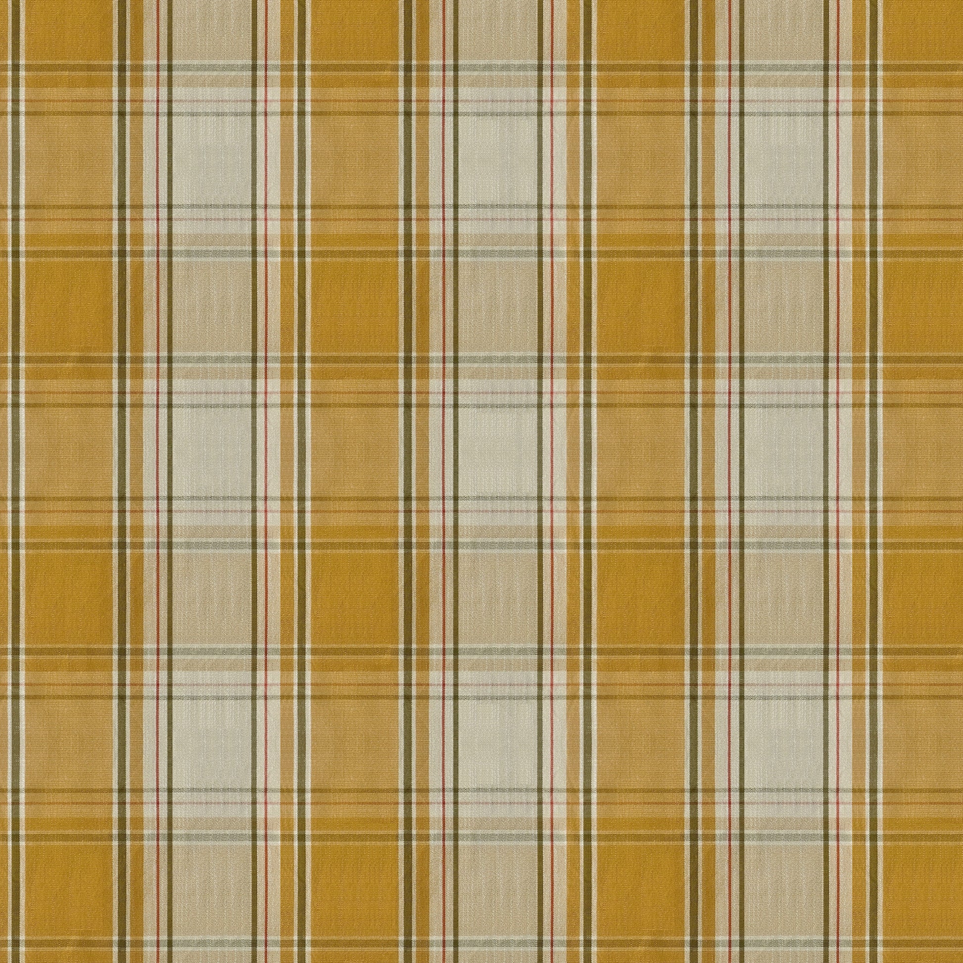 #Colour_ Saffron Gold