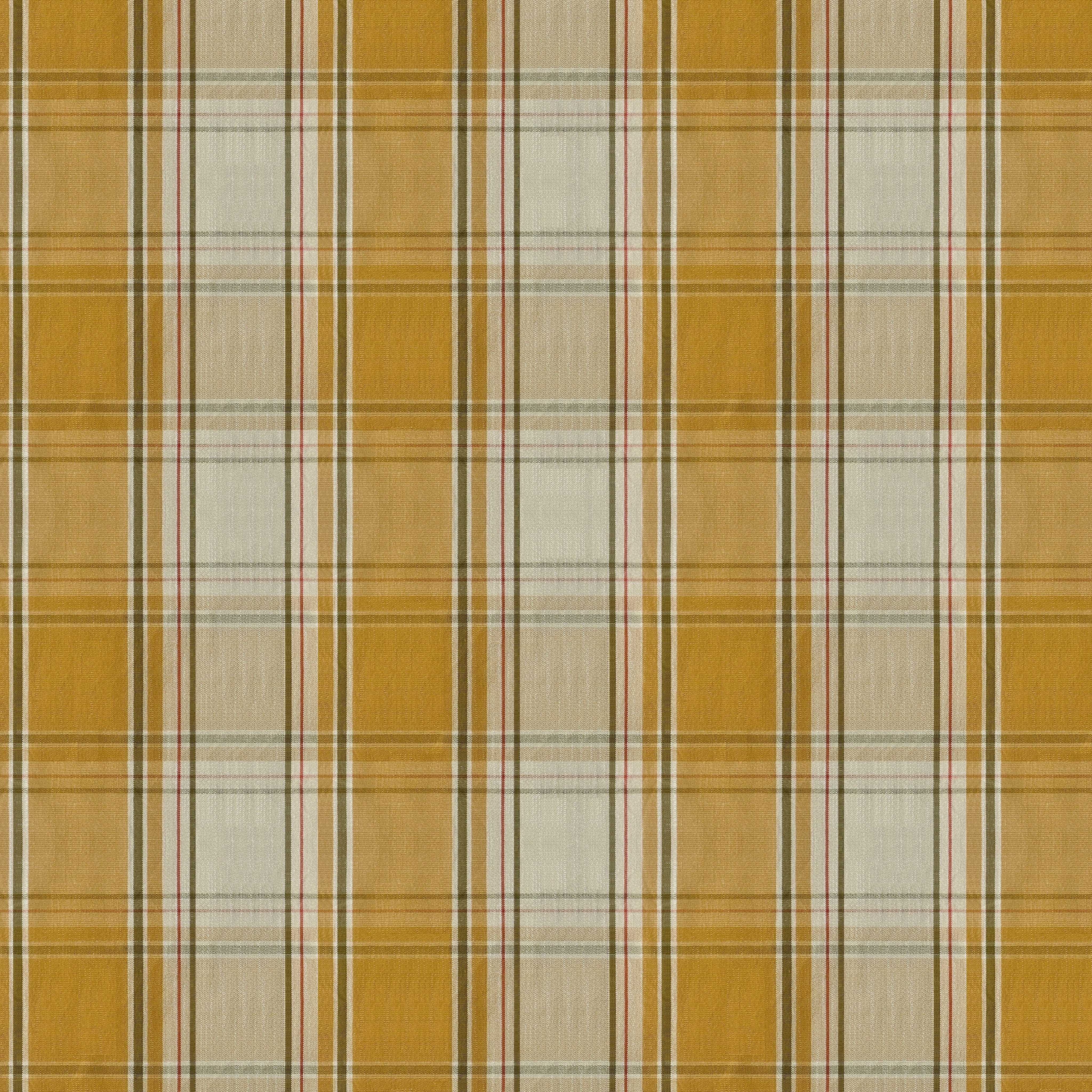 #Colour_ Saffron Gold