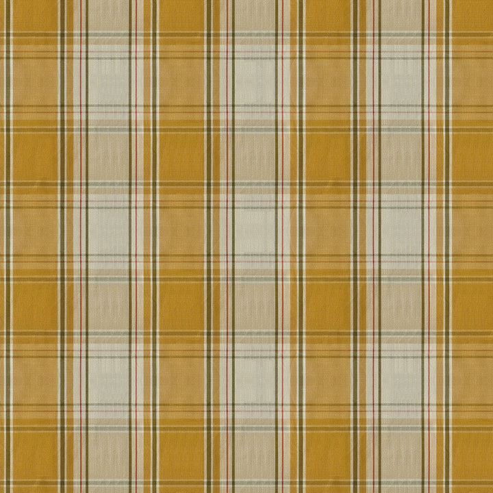 #Colour_ Saffron Gold