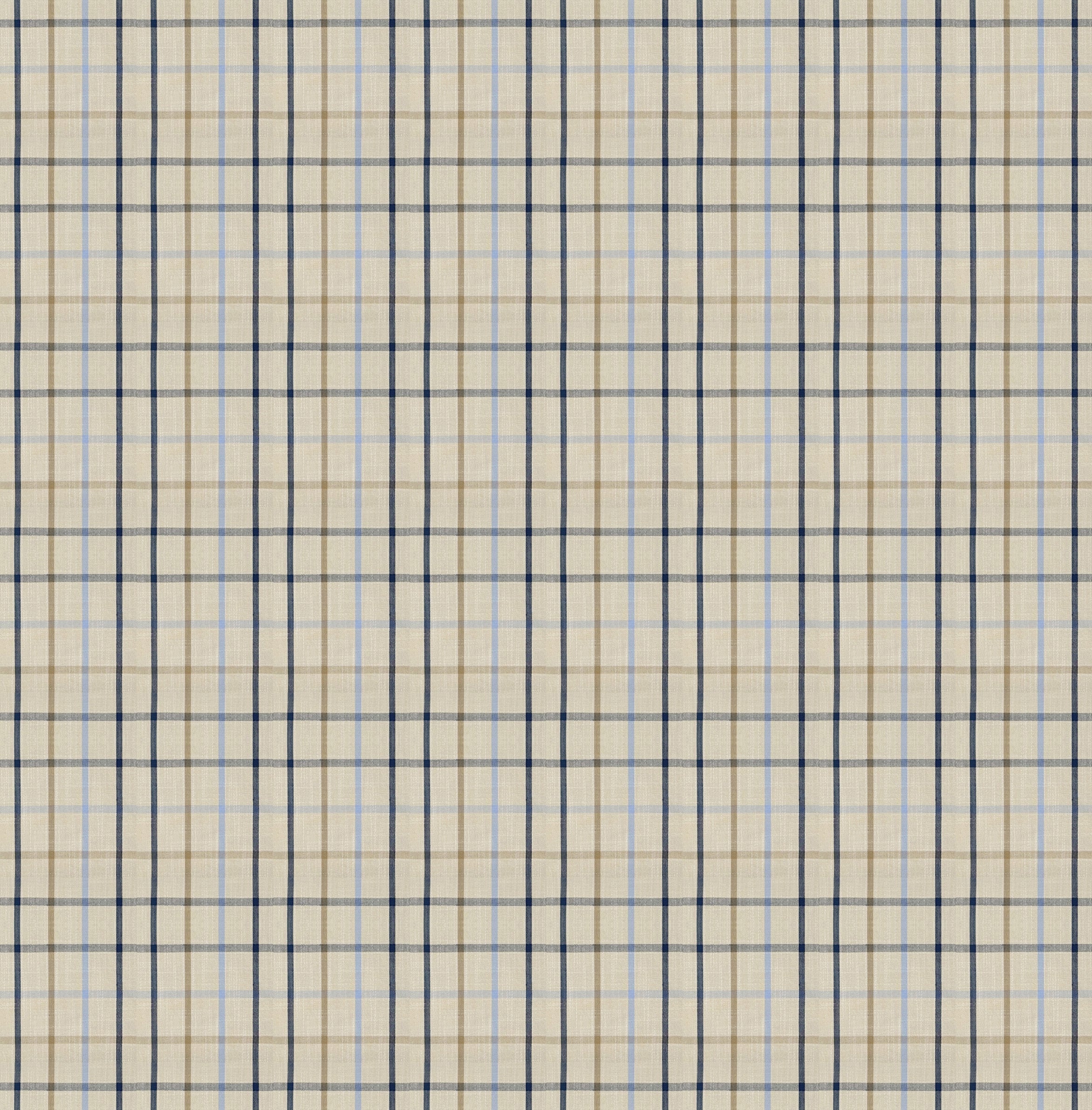 #Colour_Blue Checkered