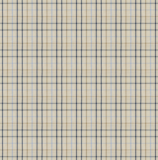 #Colour_Blue Checkered