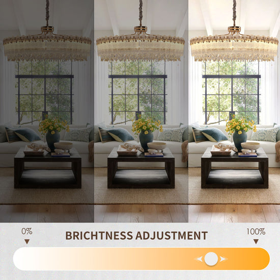 Lightsin Contemporary Crystal Pendant Light Oval and Round Dimmable Ceiling Fixture for Living Room and Hall Lightsin UK 